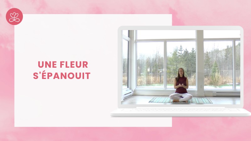 Jour 17 - Une fleur s'épanouit